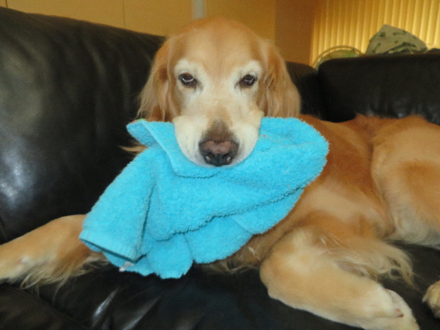 ファイル 3829-3.jpg