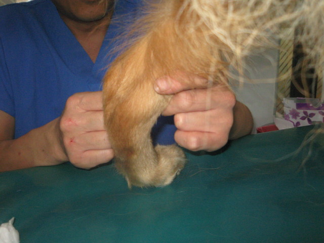 ファイル 383-2.jpg