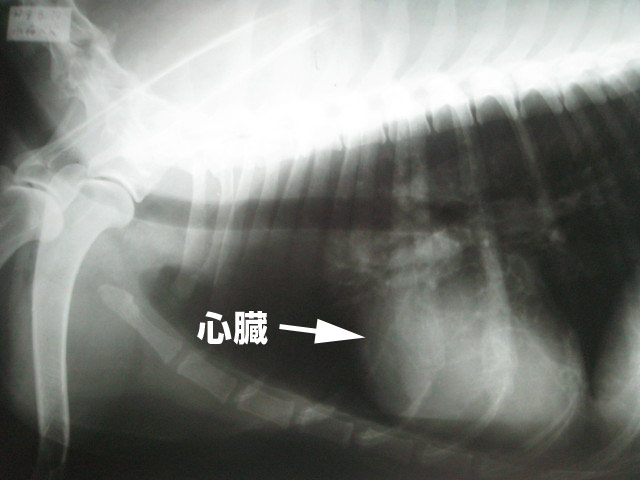 ファイル 383-4.jpg