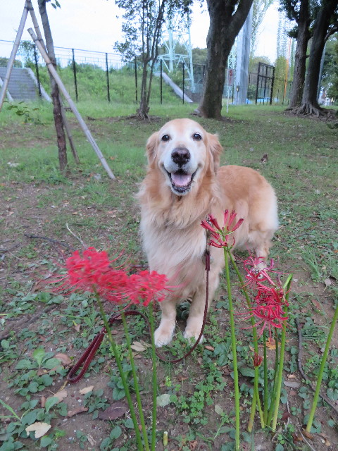 ファイル 3830-3.jpg