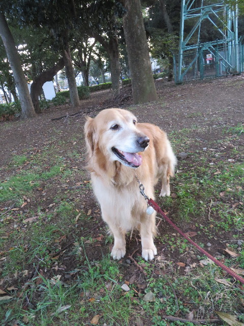 ファイル 3831-1.jpg