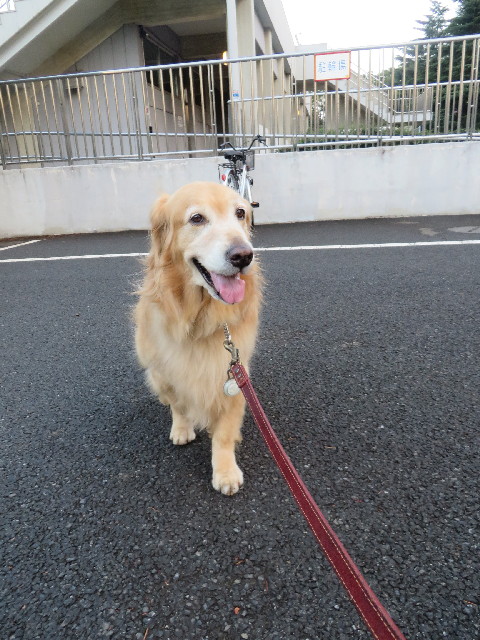 ファイル 3831-2.jpg