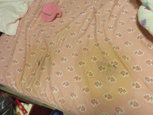 ファイル 3831-4.jpg