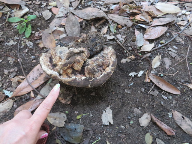 ファイル 3831-5.jpg