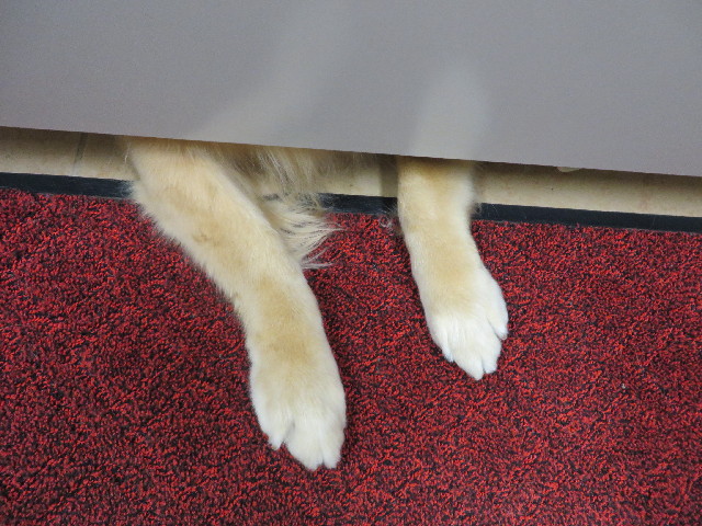 ファイル 3832-2.jpg