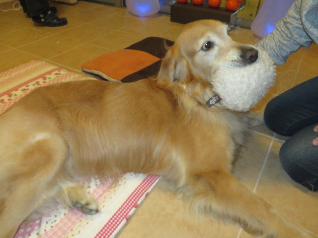 ファイル 3833-3.jpg