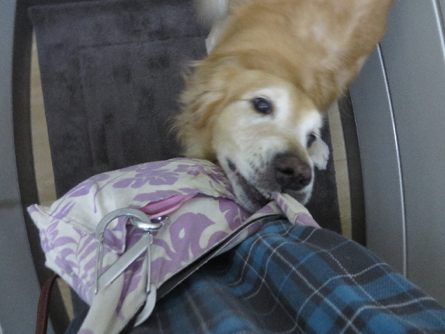 ファイル 3833-5.jpg