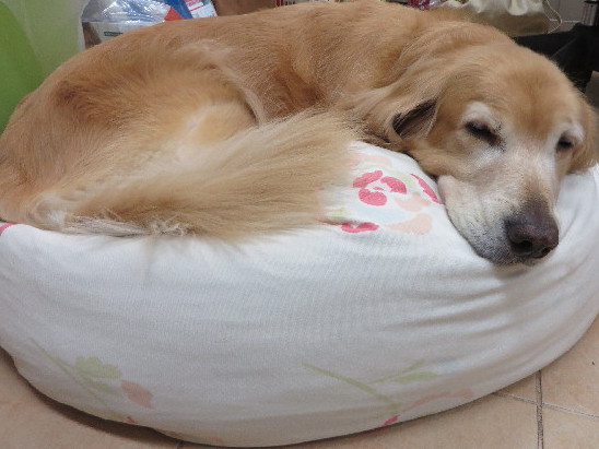 ファイル 3834-1.jpg