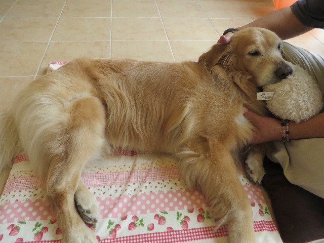 ファイル 3834-2.jpg