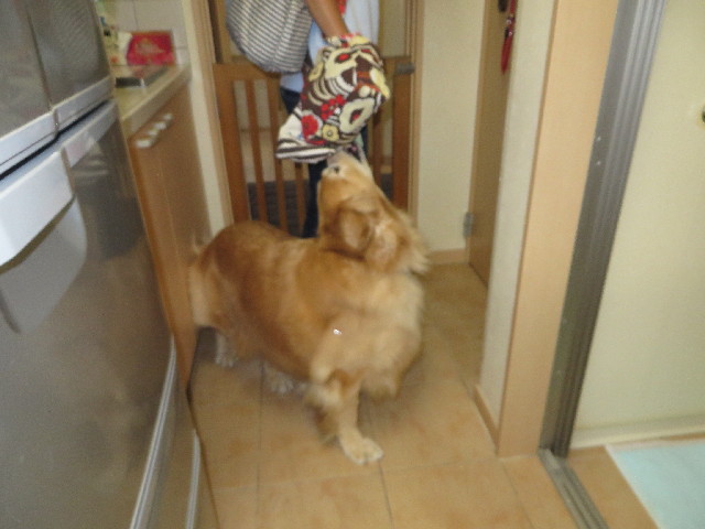 ファイル 3834-4.jpg