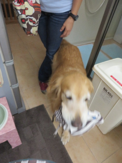 ファイル 3834-5.jpg