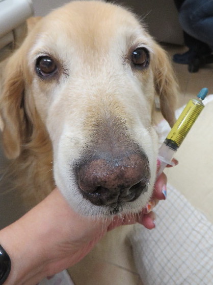 ファイル 3837-1.jpg