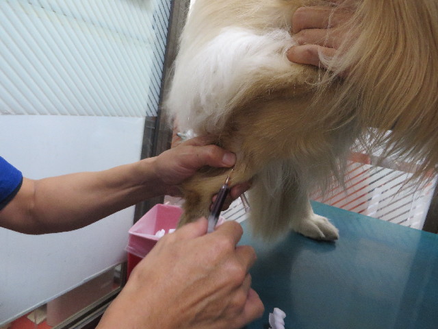 ファイル 3837-4.jpg