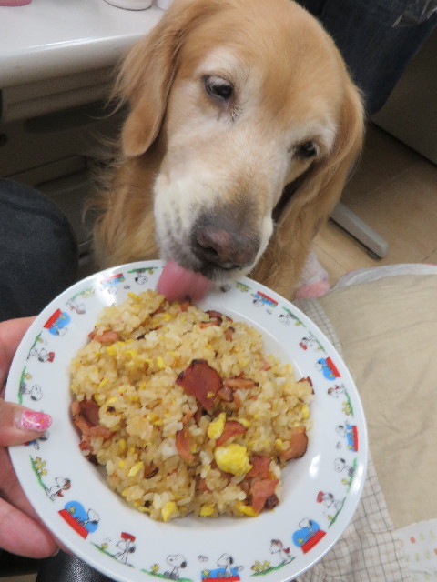 ファイル 3840-4.jpg