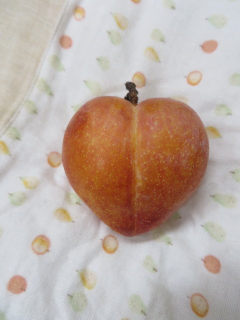 ファイル 3840-5.jpg