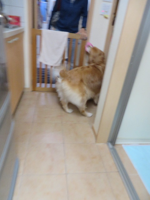 ファイル 3842-1.jpg