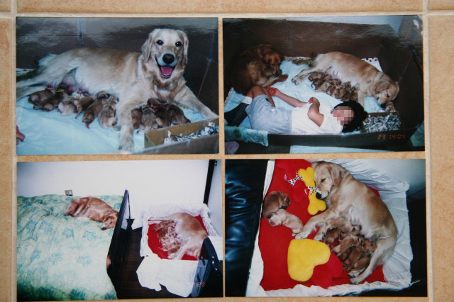 ファイル 385-5.jpg