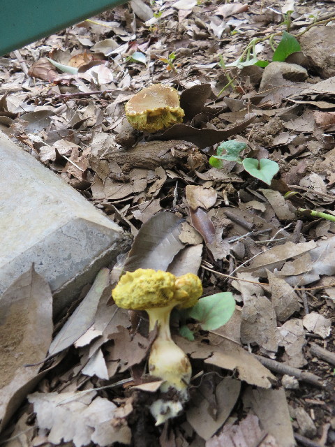 ファイル 3850-2.jpg