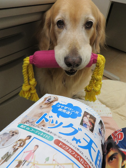 ファイル 3852-1.jpg