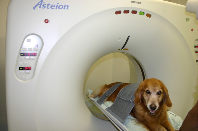 ファイル 386-1.jpg