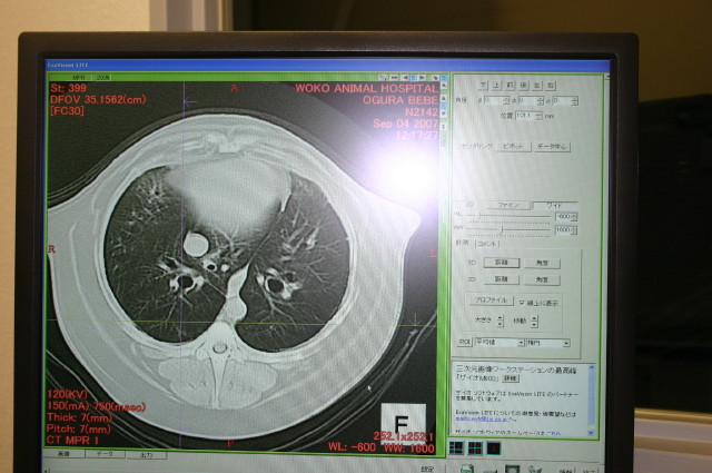 ファイル 386-4.jpg