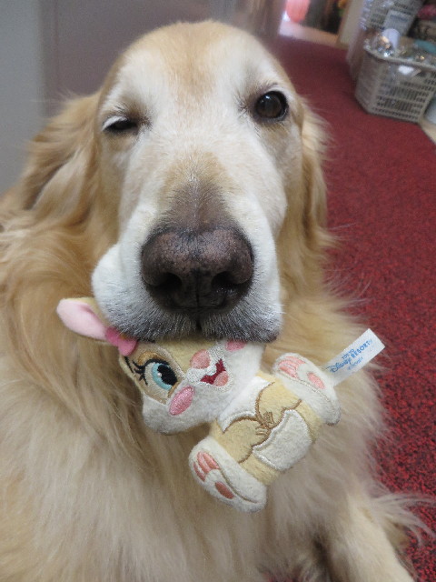 ファイル 3866-2.jpg