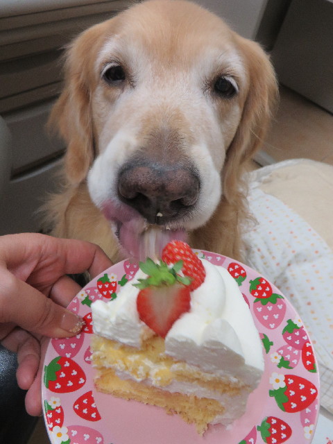 ファイル 3866-4.jpg