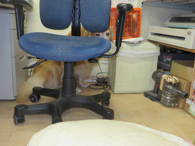 ファイル 3866-5.jpg