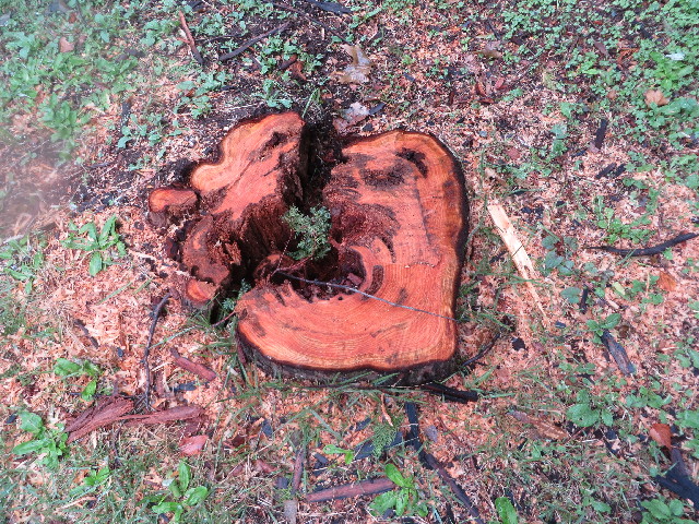 ファイル 3867-5.jpg