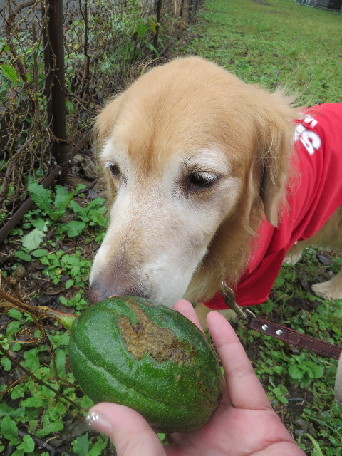 ファイル 3869-5.jpg