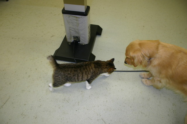 ファイル 387-2.jpg