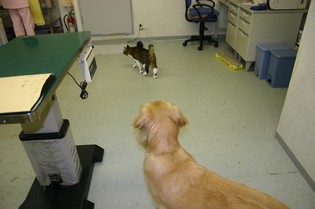 ファイル 387-3.jpg