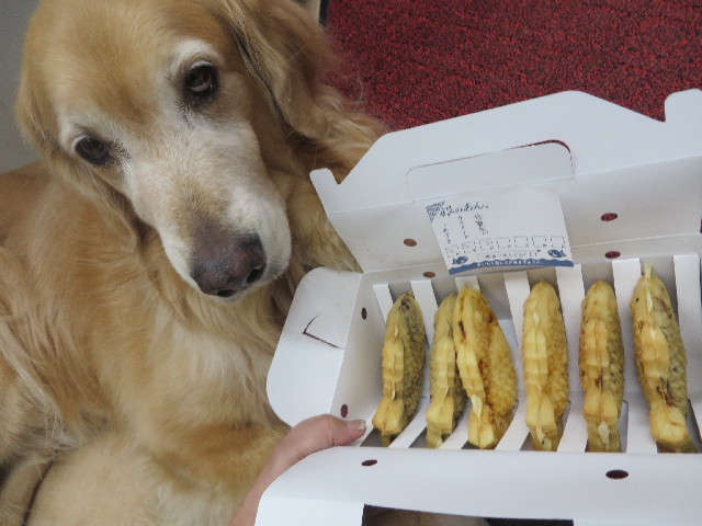 ファイル 3870-3.jpg