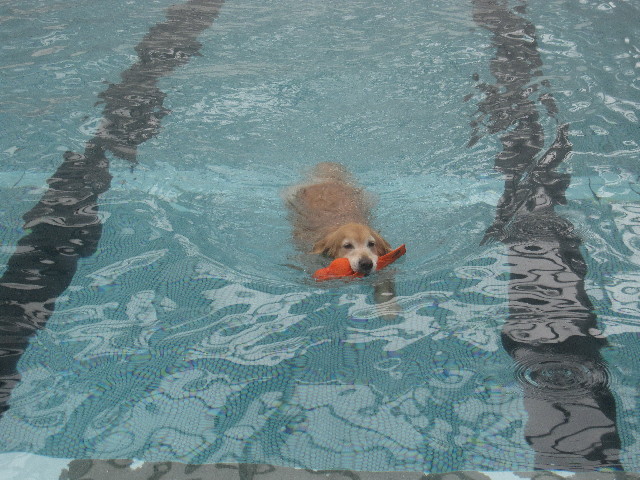 ファイル 3876-2.jpg