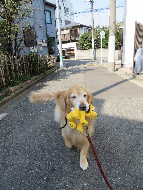 ファイル 3879-2.jpg