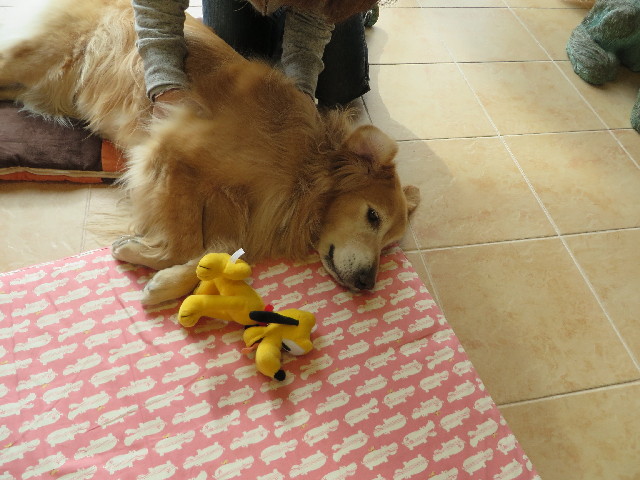 ファイル 3879-4.jpg