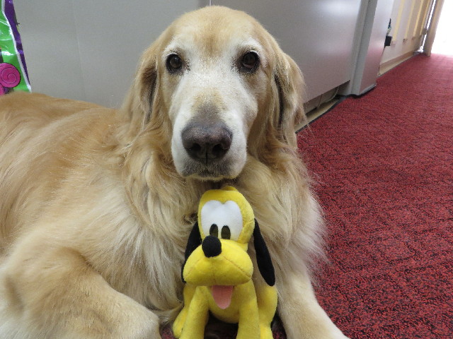 ファイル 3879-5.jpg