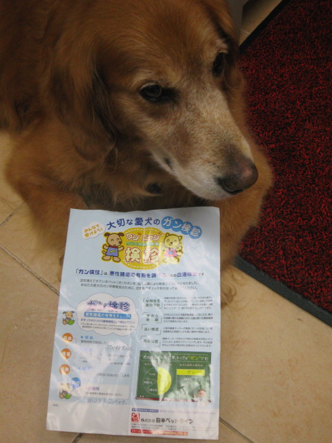 ファイル 388-1.jpg