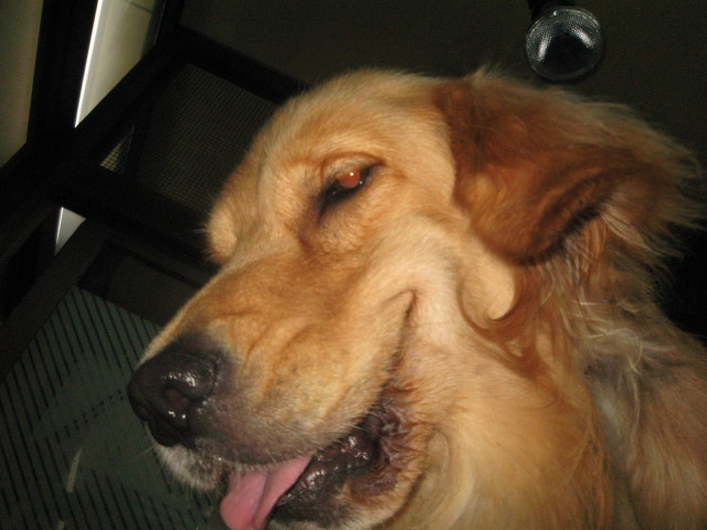 ファイル 388-4.jpg