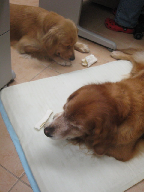 ファイル 388-5.jpg