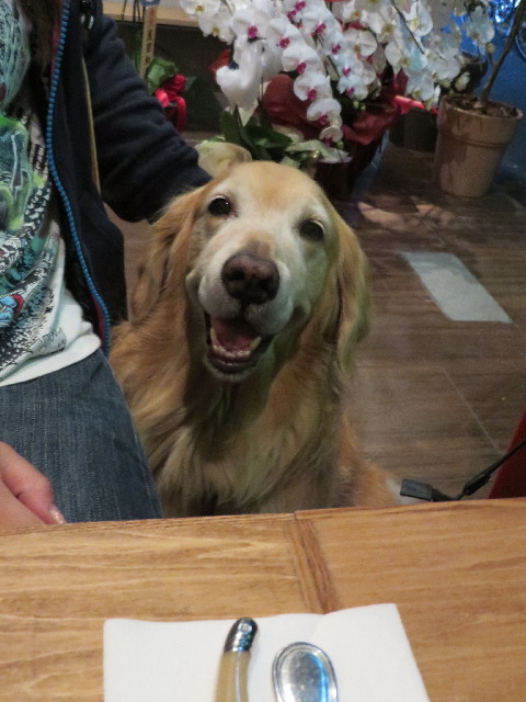 ファイル 3880-1.jpg