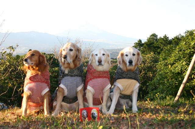 ファイル 3882-4.jpg