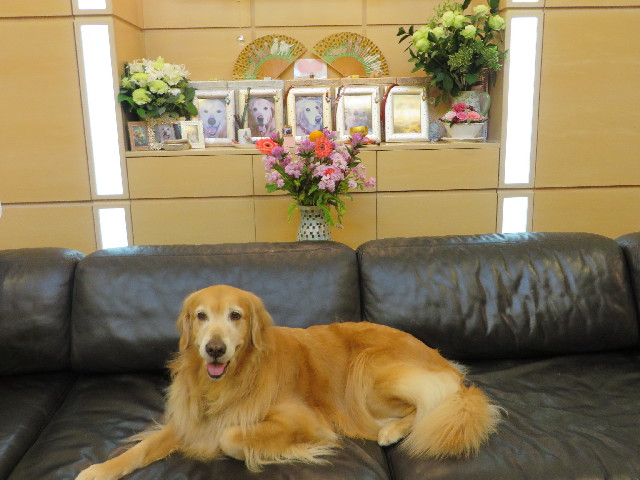 ファイル 3882-5.jpg