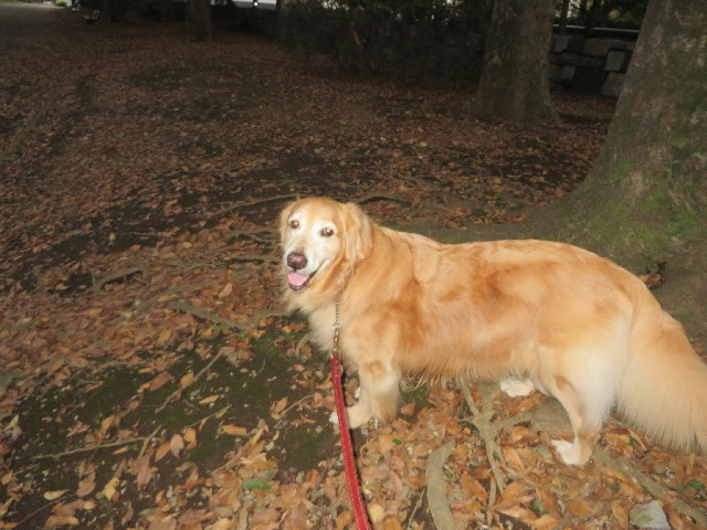 ファイル 3887-2.jpg