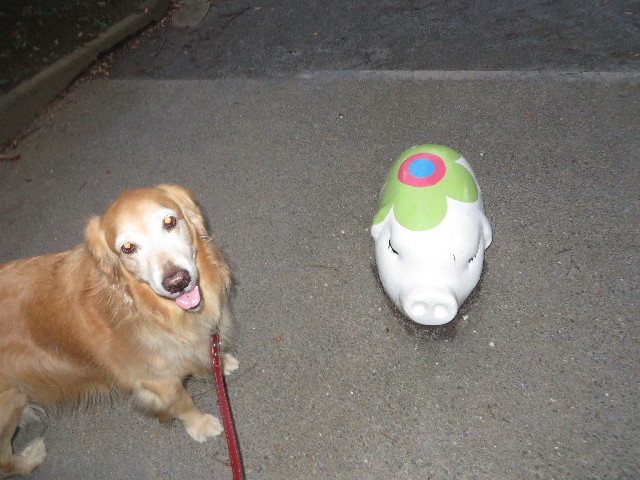 ファイル 3887-4.jpg