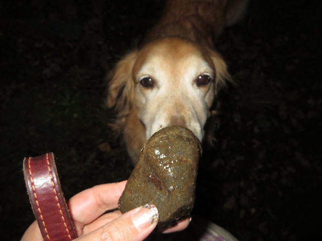 ファイル 3888-4.jpg