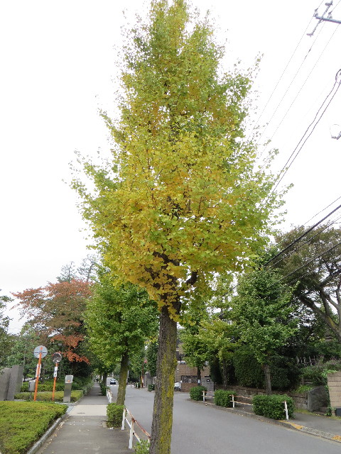 ファイル 3889-2.jpg