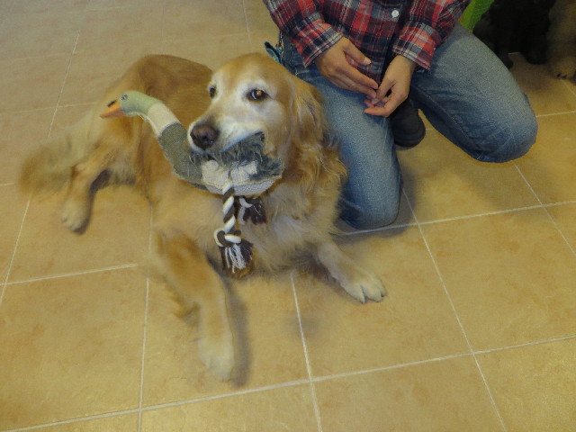 ファイル 3889-3.jpg