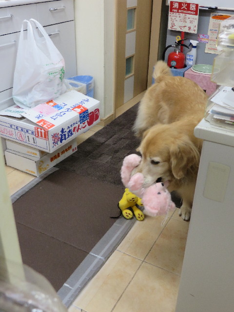 ファイル 3889-5.jpg