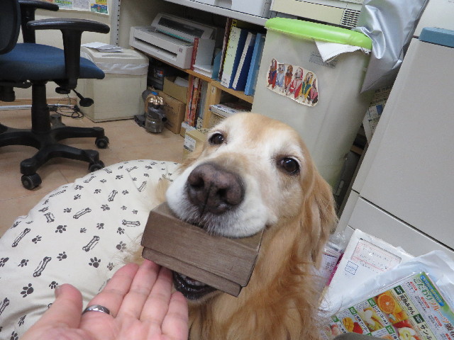 ファイル 3892-2.jpg